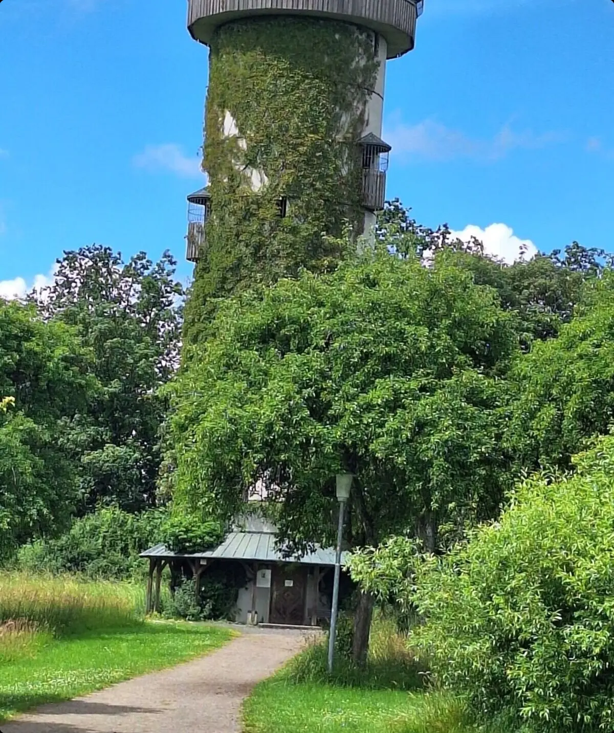 © DAV Sektion Neustadt - Uli Nußpickel