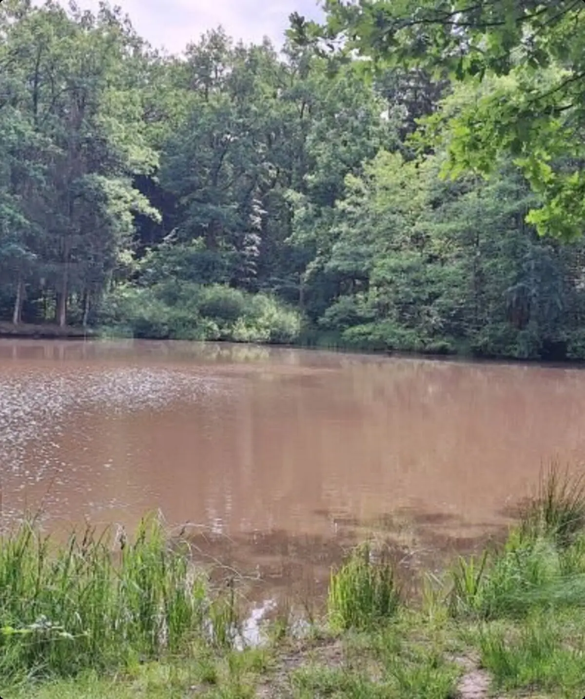 © DAV Sektion Neustadt - Uli Nußpickel