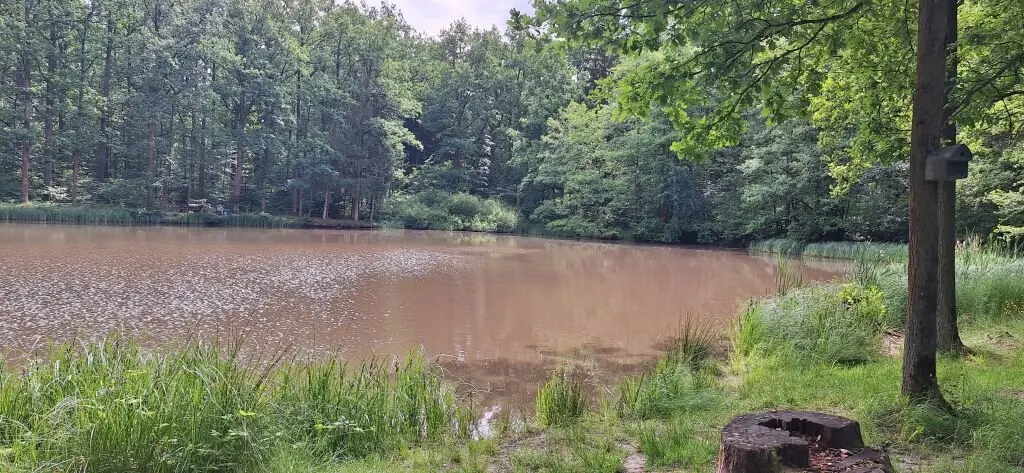 © DAV Sektion Neustadt - Uli Nußpickel