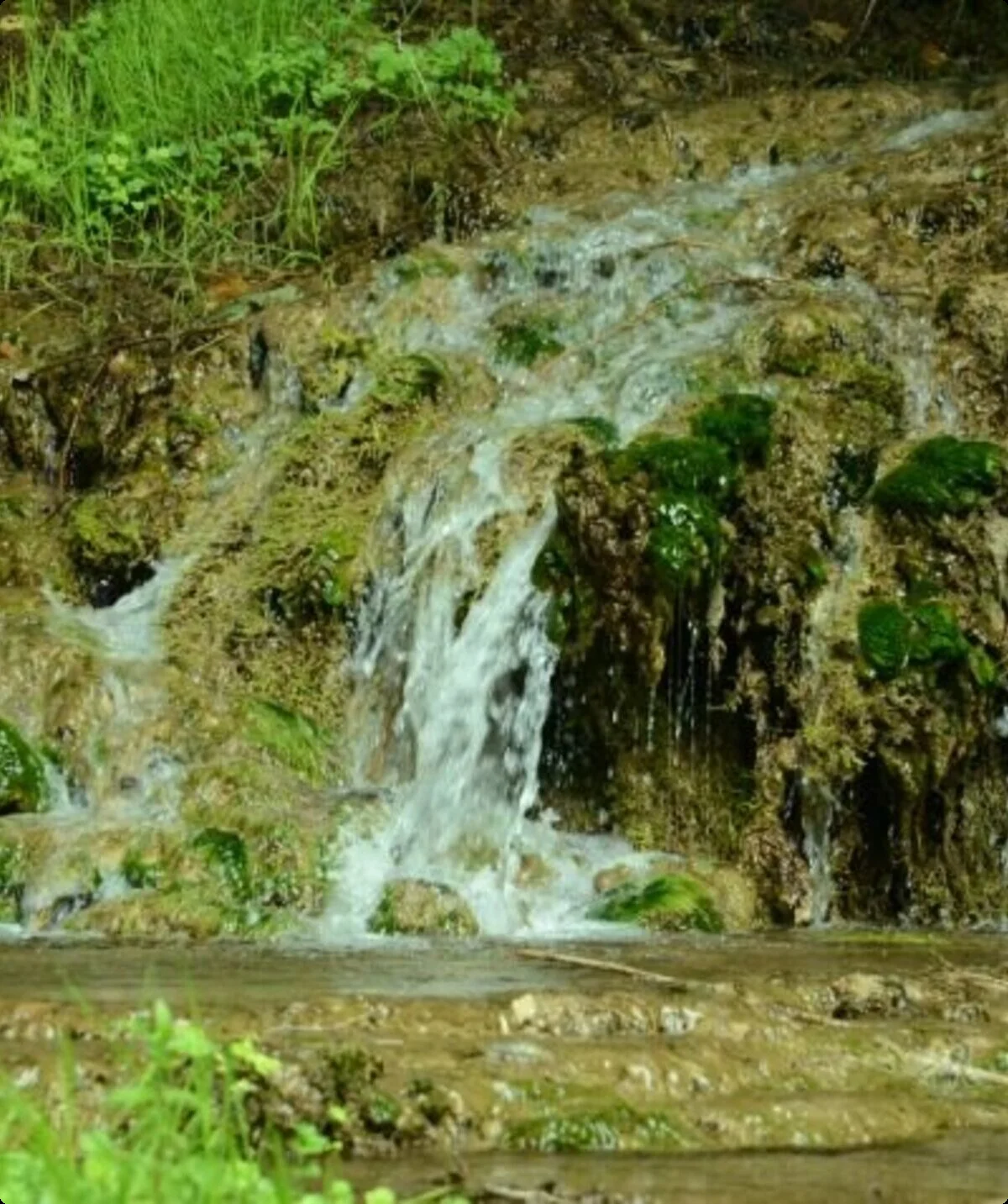 © DAV Sektion Neustadt - Uli Nußpickel