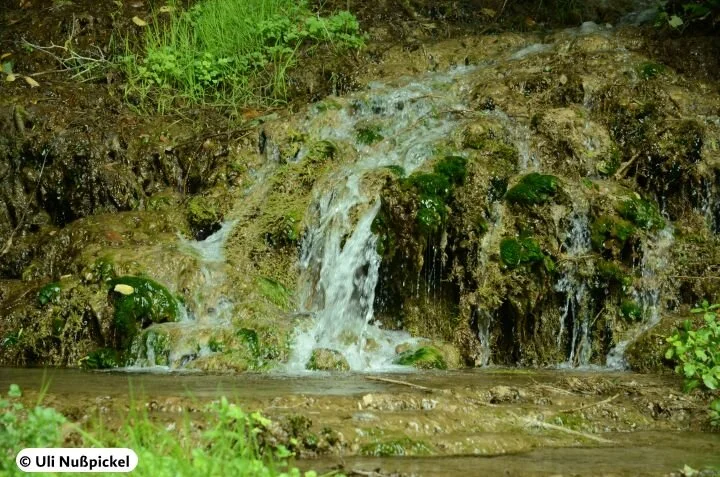 © DAV Sektion Neustadt - Uli Nußpickel