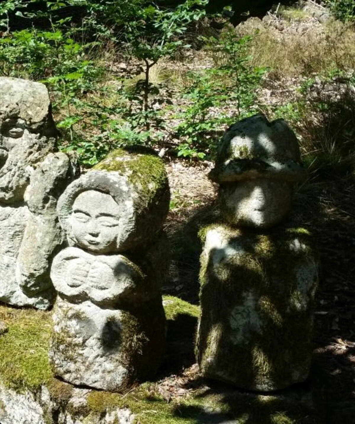 © DAV Sektion Neustadt - Nußpickel