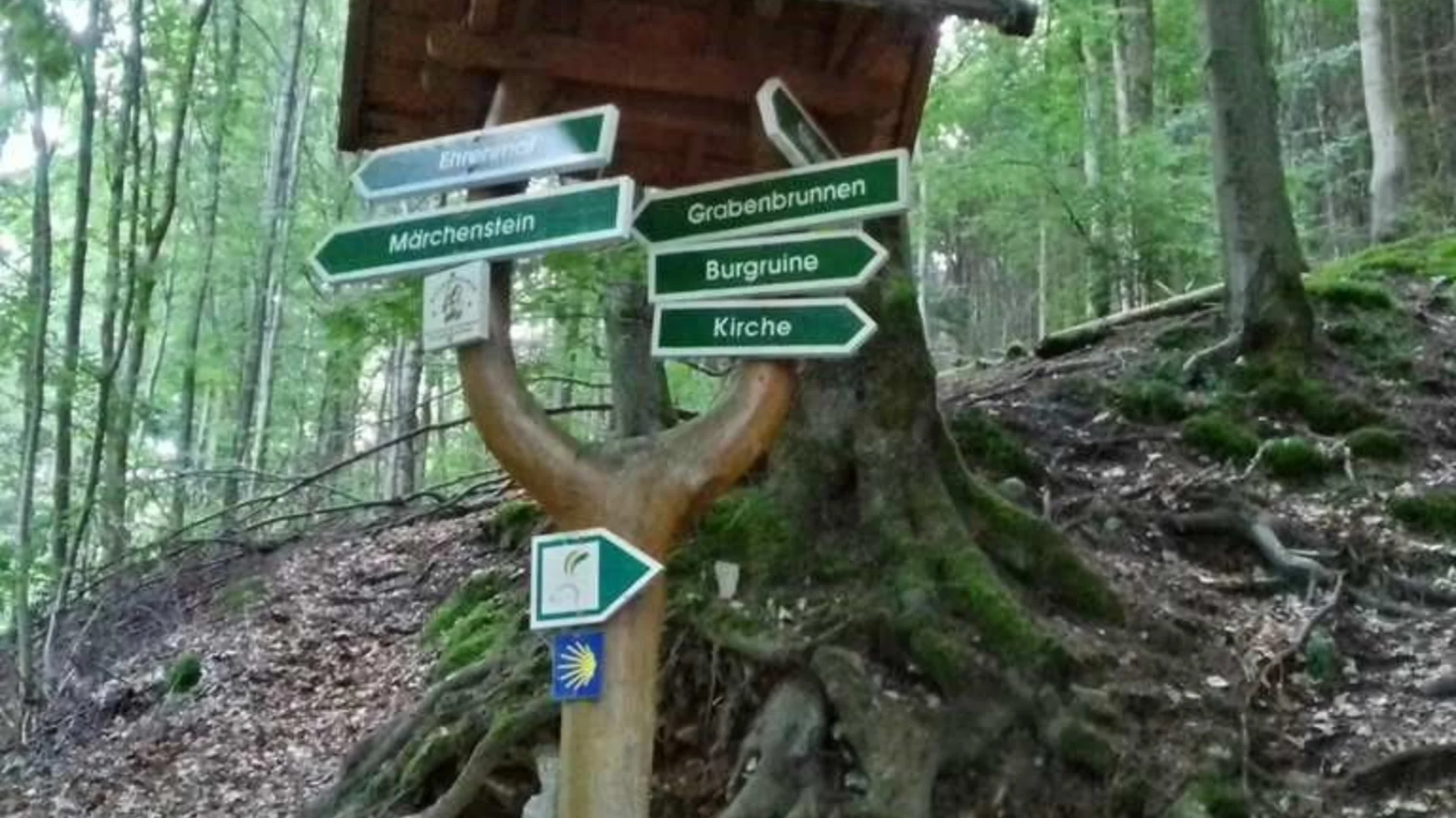 © DAV Sektion Neustadt - Thomas Weitz