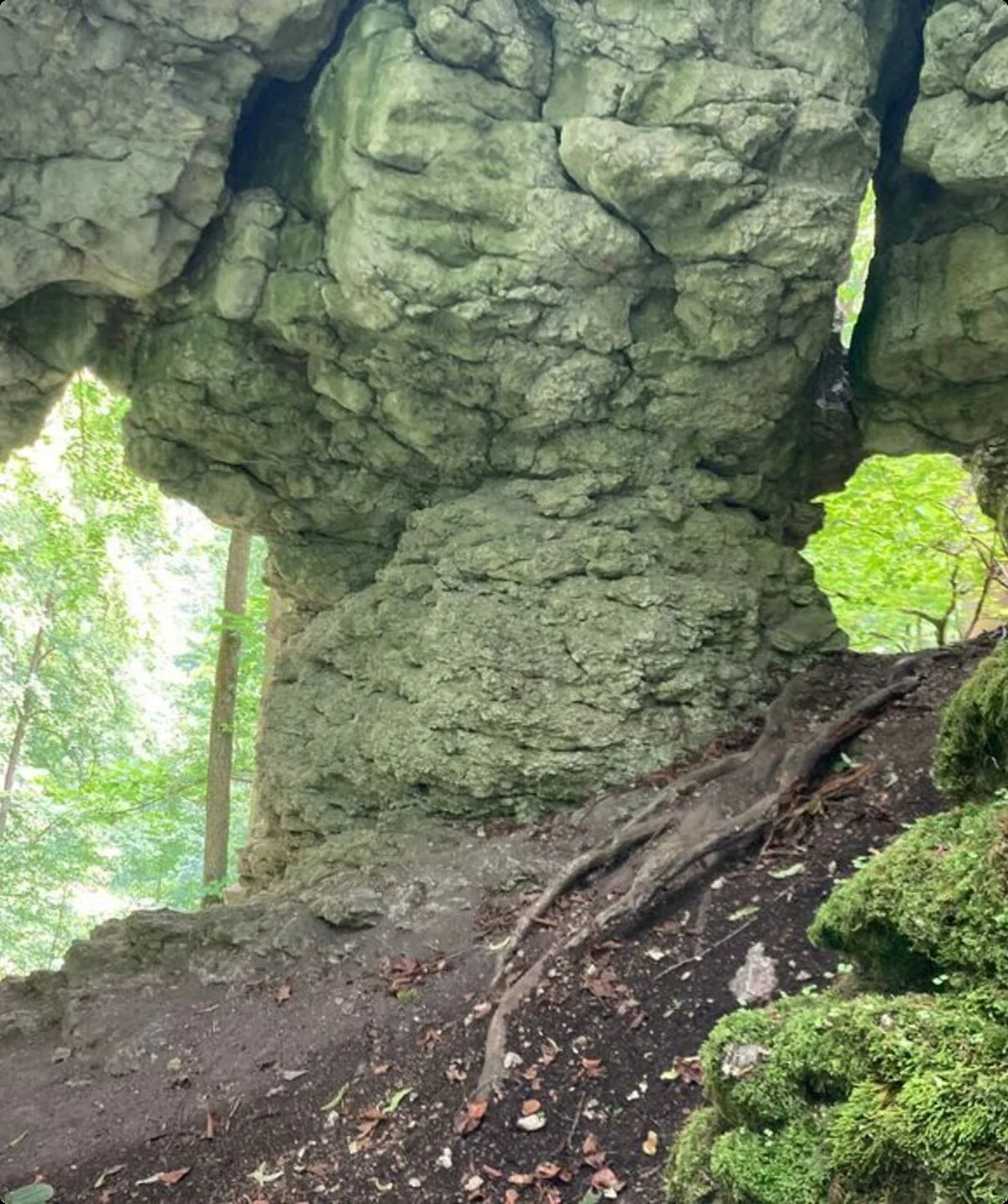 © DAV Sektion Neustadt - Robert Matzke (Felsentor)