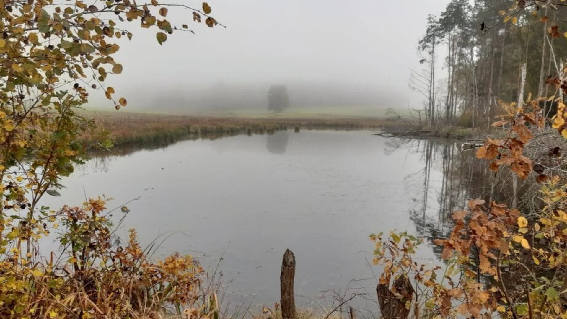 © DAV Sektion Neustadt - Robert Matzke