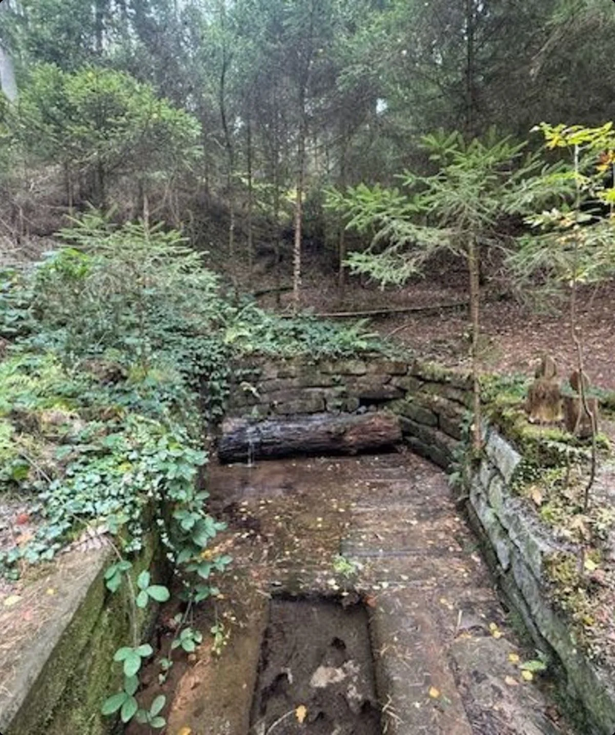 © DAV Sektion Neustadt - Fröschigquelle