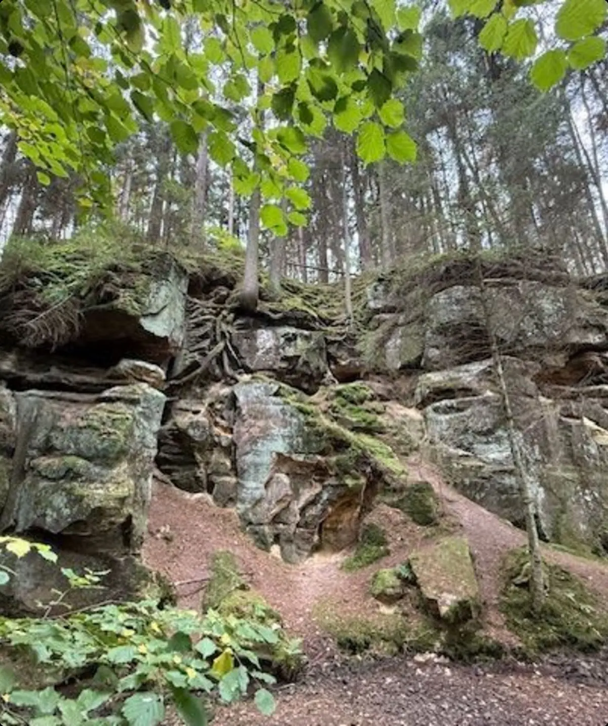 © DAV Sektion Neustadt - Schwedenschanze