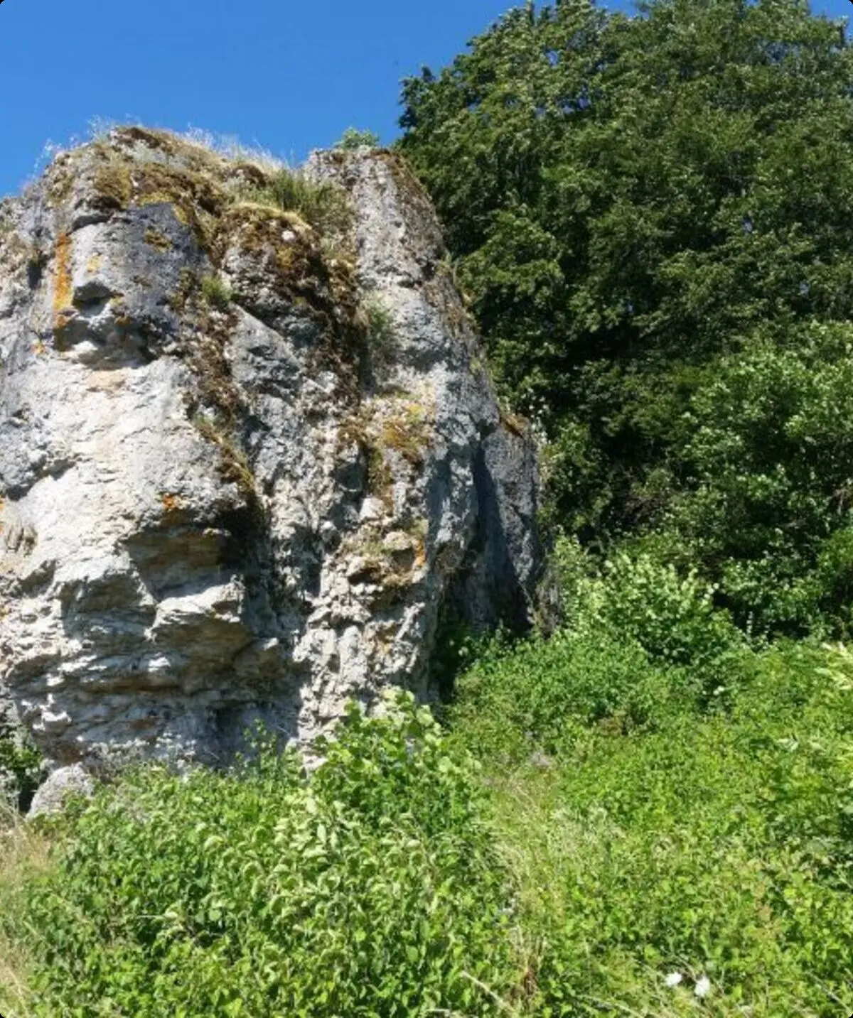© DAV Sektion Neustadt - Seigelstein