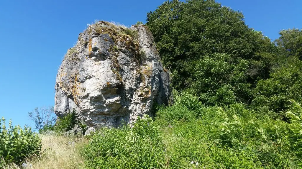 © DAV Sektion Neustadt - Seigelstein